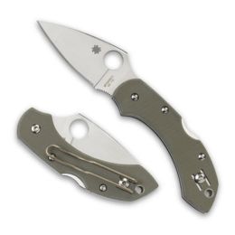 Spyderco Dragonfly Folder 2.25 in Plain Green G-10 Handle