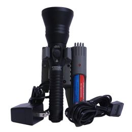 Strion DS-HPL-IEC TP A(120v)AC/12v DCPGB